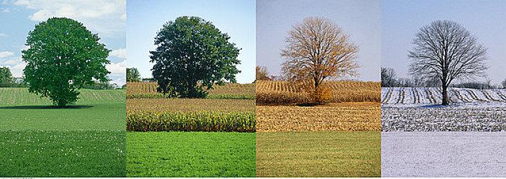 《亚路塔》Steam页面上线 治愈系面包房经营探索